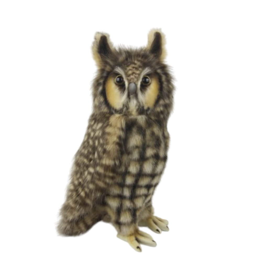 Long Eared Owl 30cm by Hansa Leura Cabinet of Curiosities