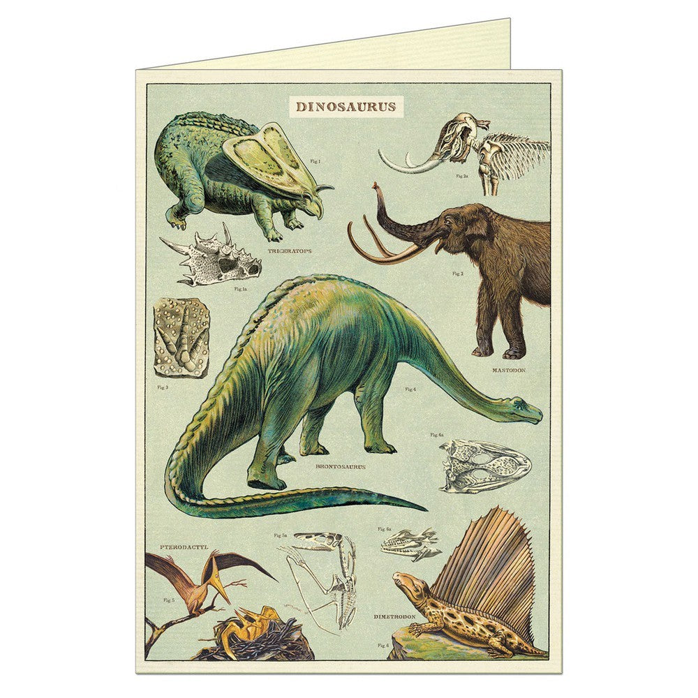 Cavallini Greeting Cards