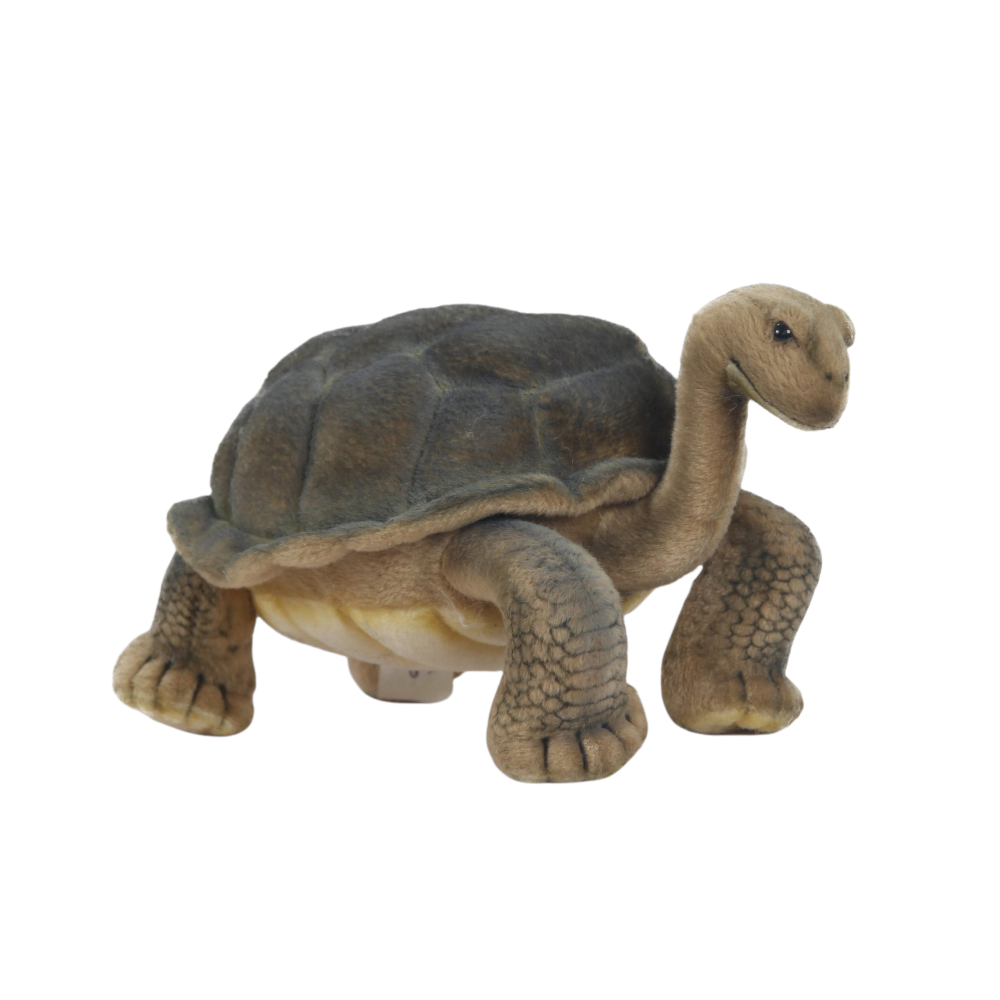 Galapagos Turtle Soft Toy Hansa