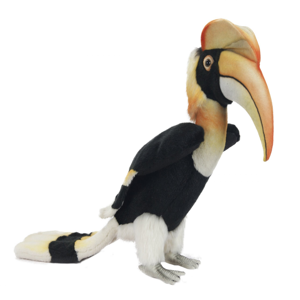 Hornbill cm Hansa