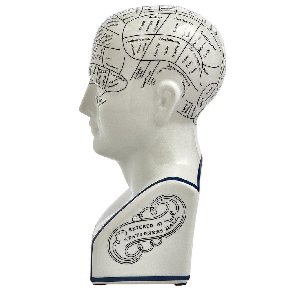 Phrenology Head