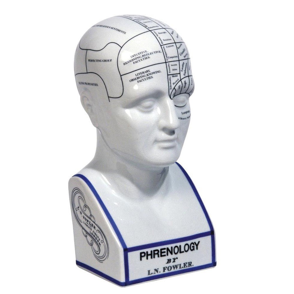 Phrenology Head