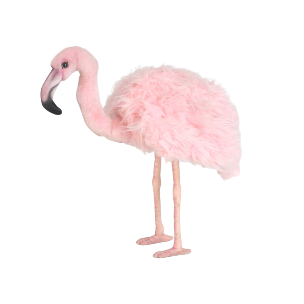 Pink Flamingo Hansa